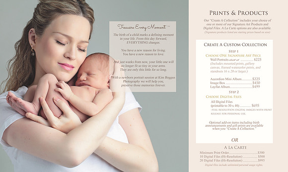 brochure-8.5inx14in-trifold-inside