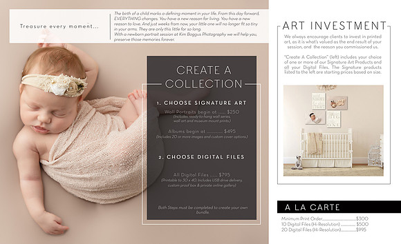 brochure-8.5inx14in-trifold-inside