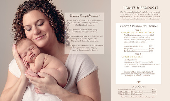 brochure-8.5inx14in-trifold-inside