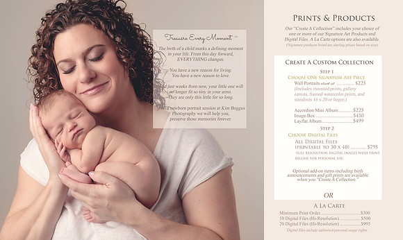brochure-8.5inx14in-trifold-inside