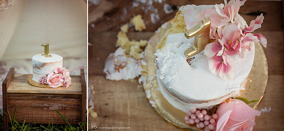 One Year Cake Smash baby photography McAllen Texas Photographer, toddler, child, children's portraits